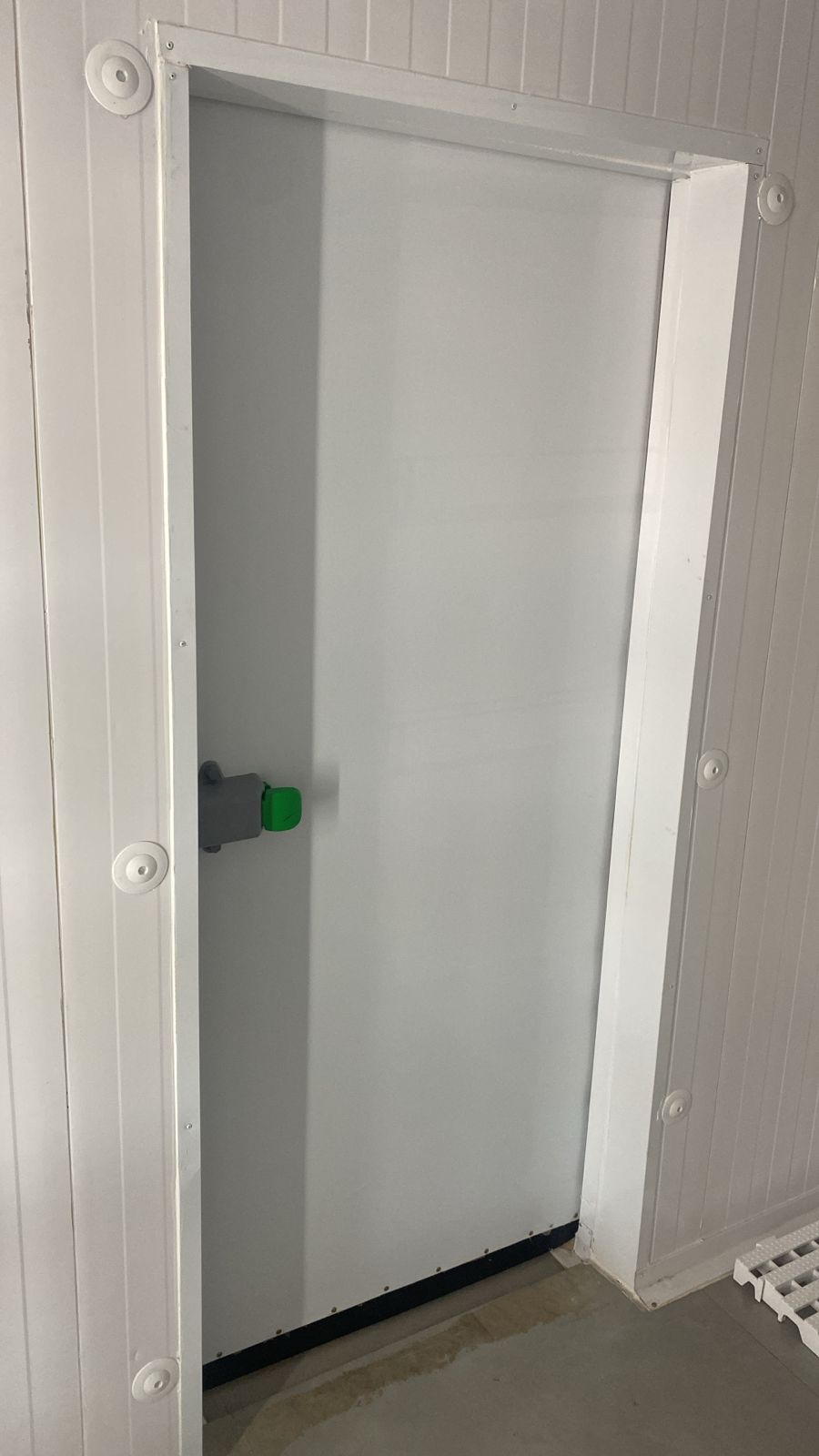 Instalação De Porta Frigorífica Personalizada??