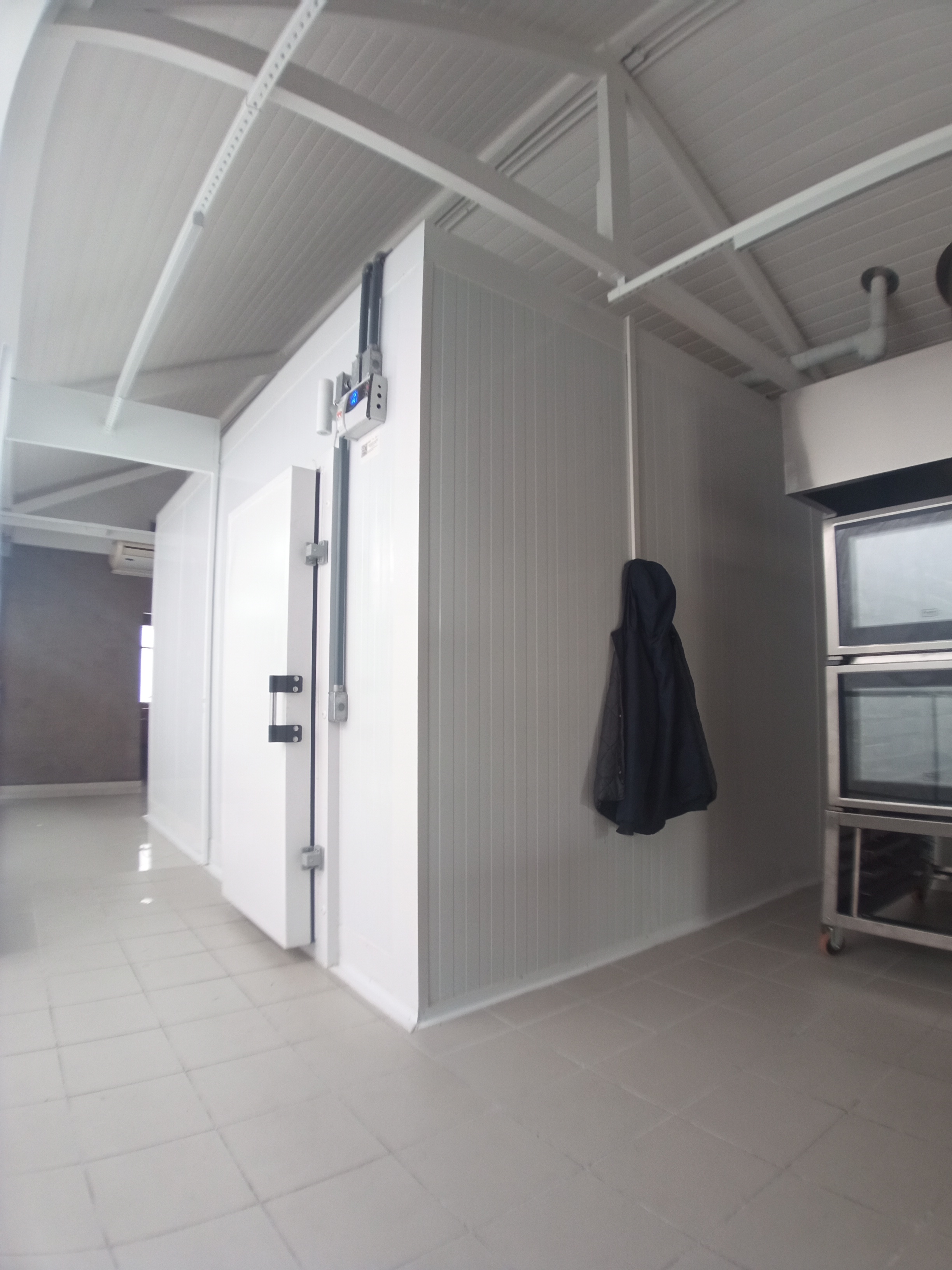 Câmara Congelada Para Peixarias??